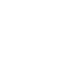 Chic Chiot