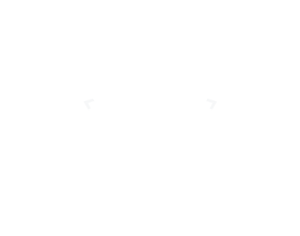Mountain Lotus